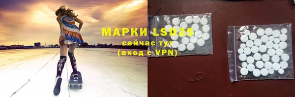 дмт Краснослободск