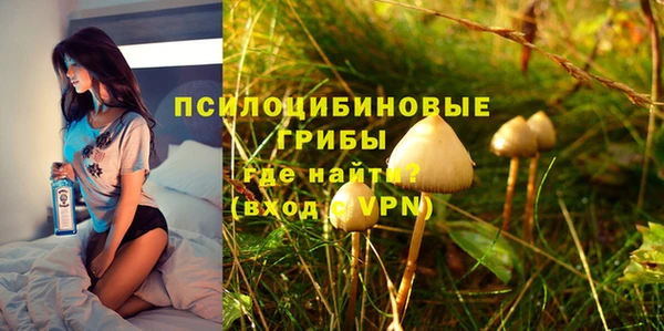 трава Арсеньев